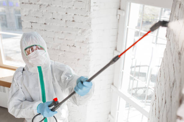 Best Mold-Related Health Consultation  in Wesleyville, PA