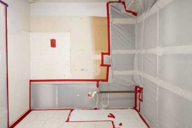Best Airborne Mold Testing  in Wesleyville, PA