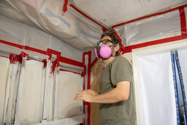 Best Mold Damage Restoration  in Wesleyville, PA