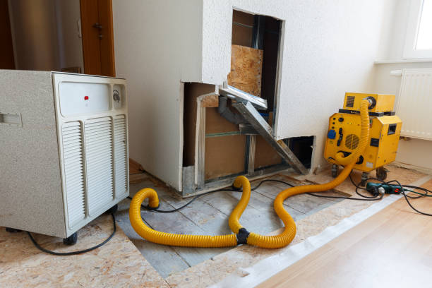 Best Dehumidification Services  in Wesleyville, PA